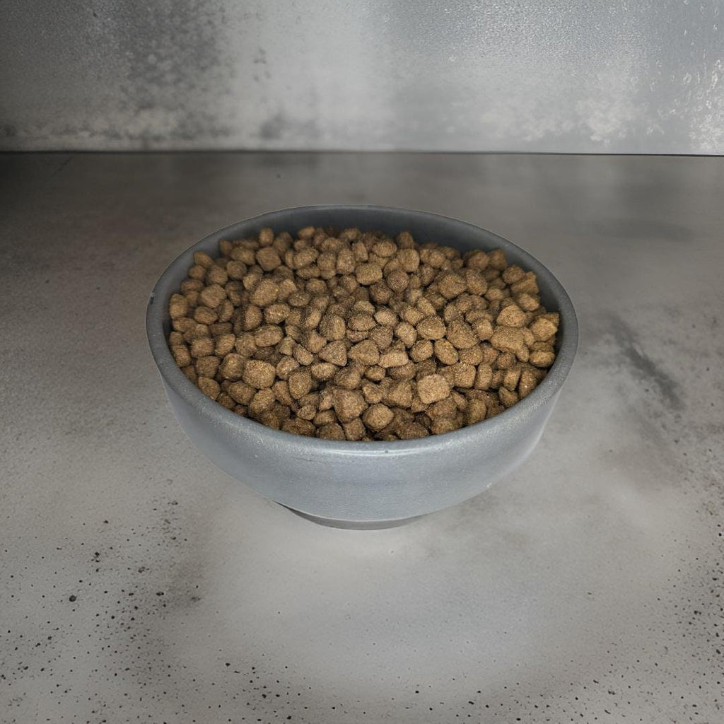 Concrete Pet Food Bowl
