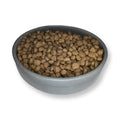 Concrete Pet Food Bowl