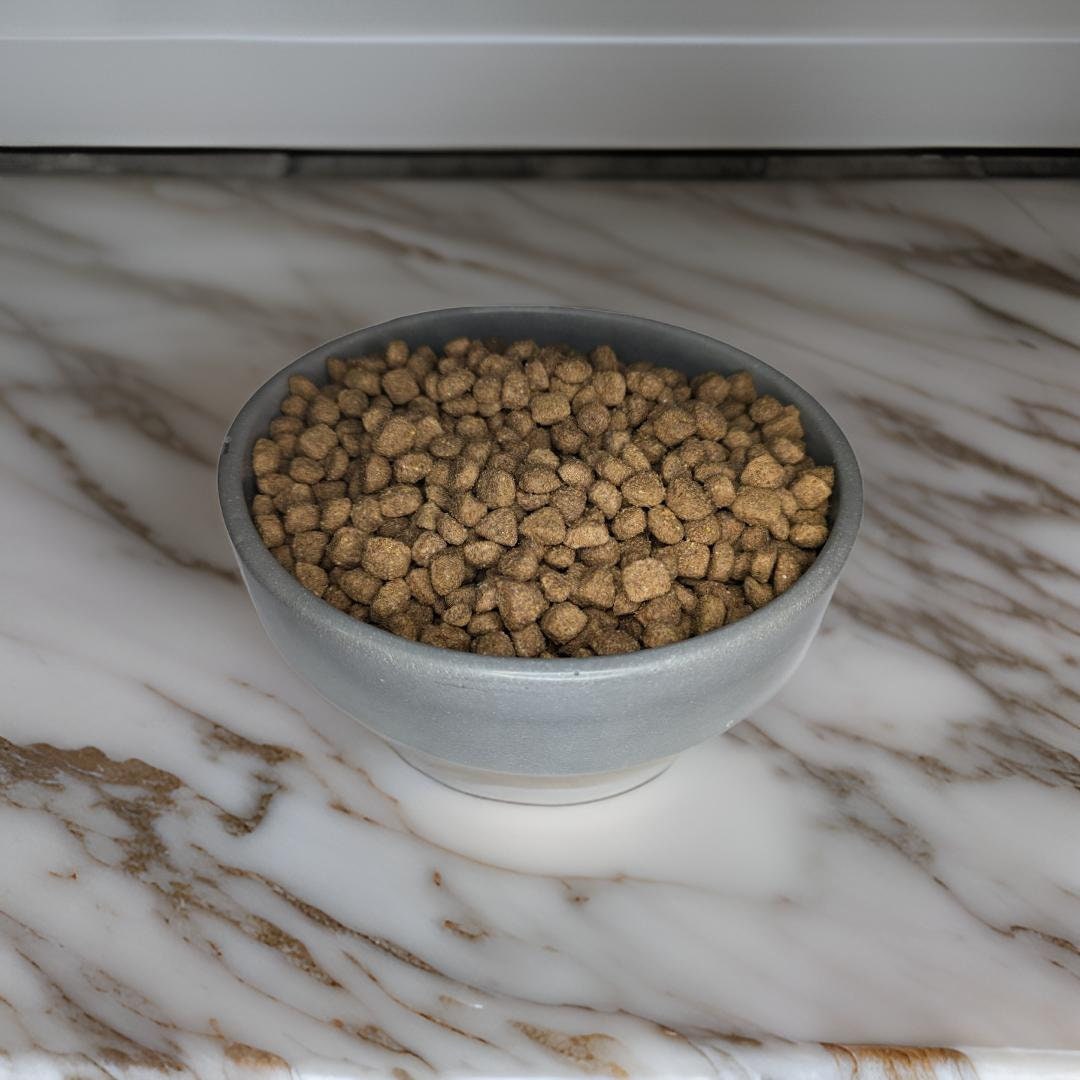 Concrete Pet Food Bowl
