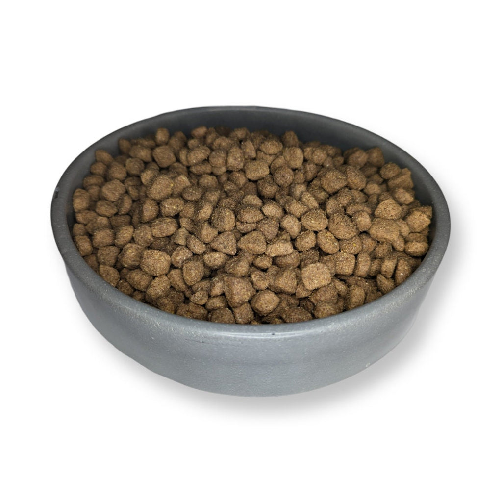 Concrete Shallow Bowl – Minimalist & Multi-Purpose