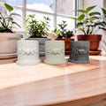 Concrete Mom Planter with Drainage Tray - Mother's Day Gift - Minimalist 3" Succulent Pot - White, Gray, or Natural Cement - Gift for Her