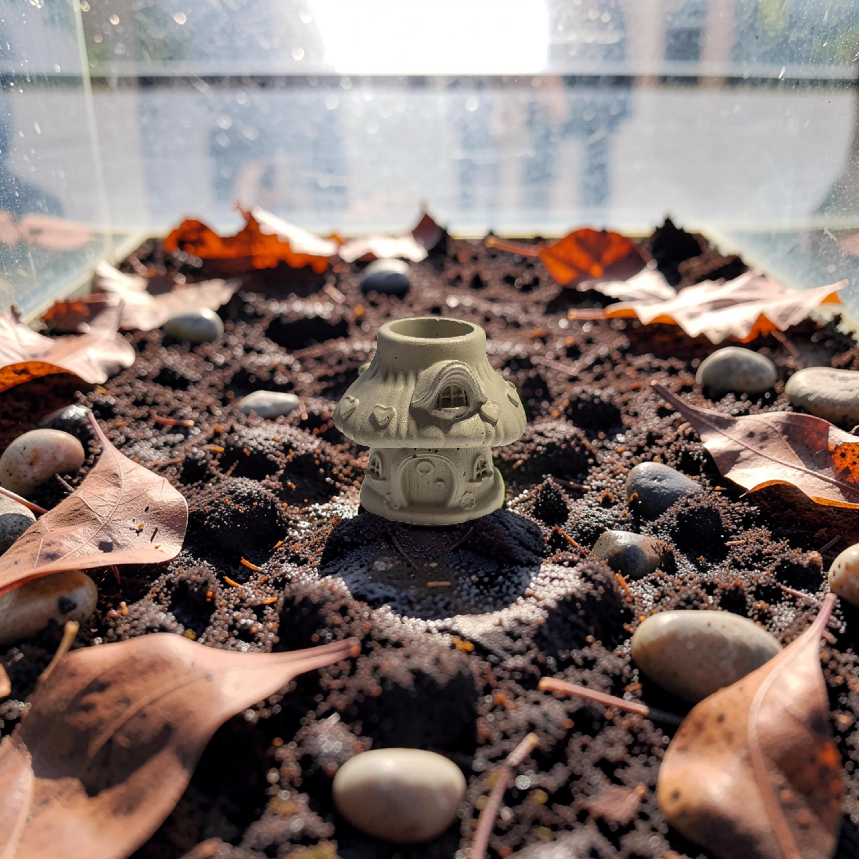 Heart Mushroom House Concrete Planter, Whimsical Toadstool Fairy Cottage, 3" Small Succulent Pot, Valentine's Day Gift, Unique Desk Decor